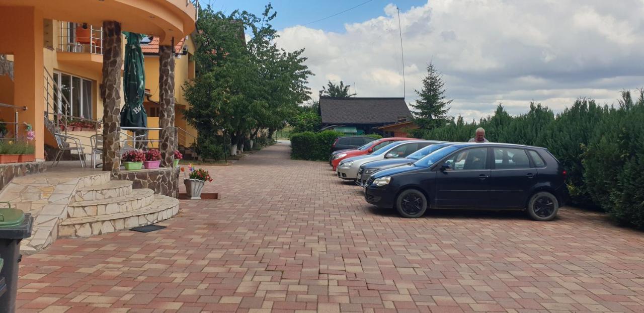 Pensiunea Carmena Băile Felix Εξωτερικό φωτογραφία
